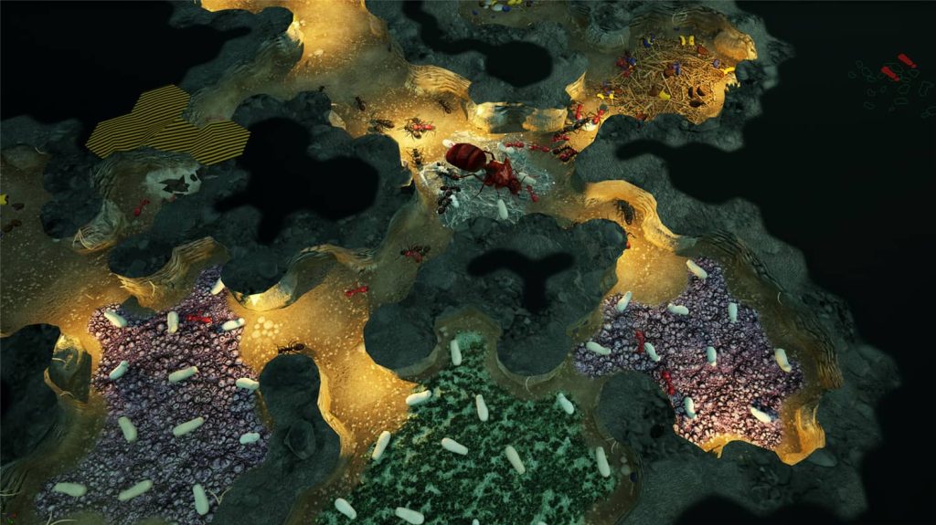 图片[5]-地下蚁国 v1.000419 （Empires of the Undergrowth）免安装中文版 - 游木免费资源仓库-游木免费资源仓库