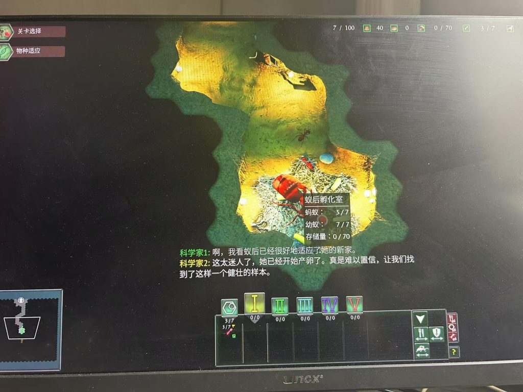 图片[7]-地下蚁国 v1.000419 （Empires of the Undergrowth）免安装中文版 - 游木免费资源仓库-游木免费资源仓库