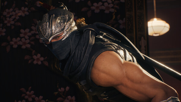 图片[5]-忍者龙剑传2：黑之章-豪华版（NINJA GAIDEN 2 Black）附全DLC - 游木免费资源仓库-游木免费资源仓库